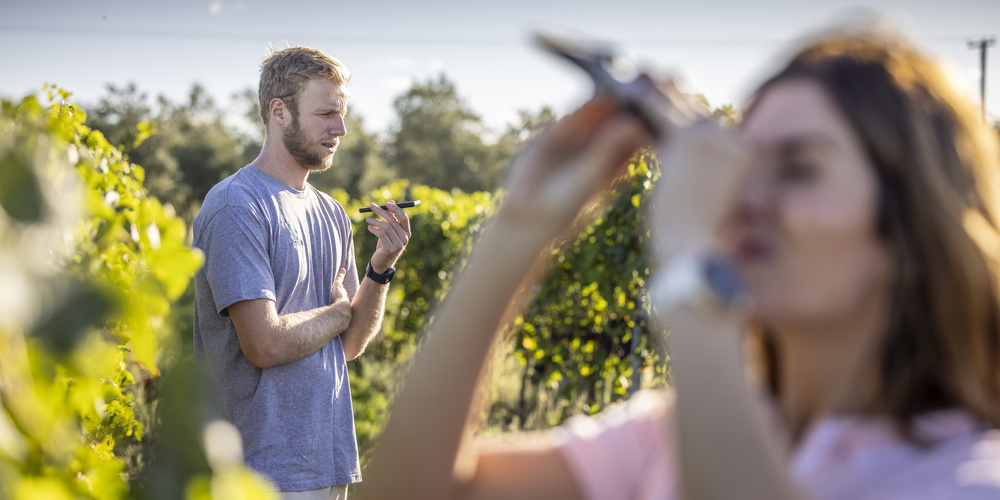 A man and a woman standing in a vineyard using the Croptide Alora AI Assistant on their phones.