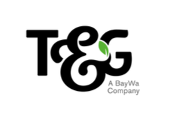 T & G logo